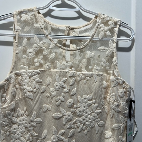 NWT Kensie ivory dress. Size 8. Lace embroidered Overlay, feminine, and soft. - Picture 4 of 8